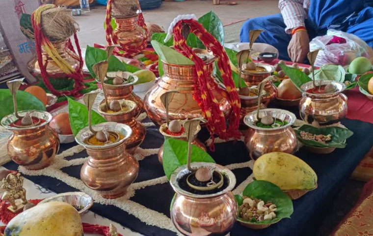 kaal-sarp-dosh-puja